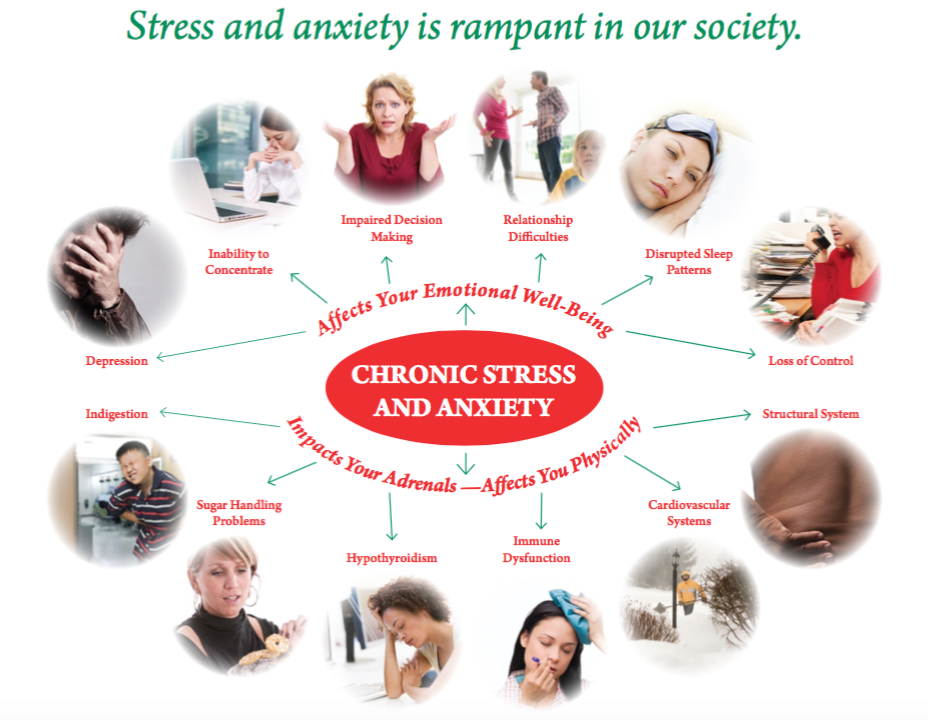 Stress & Anxiety Diagram