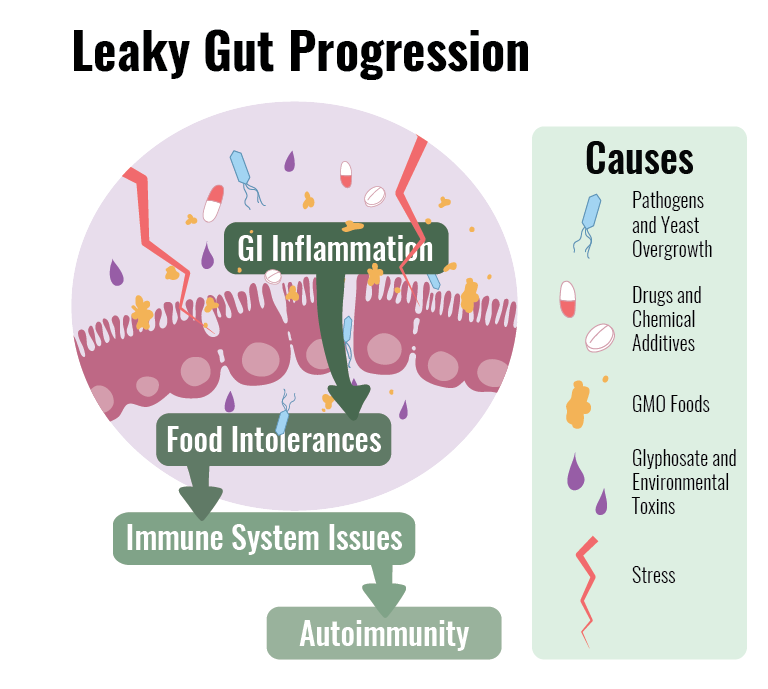 Leaky Gut Syndrome Progression